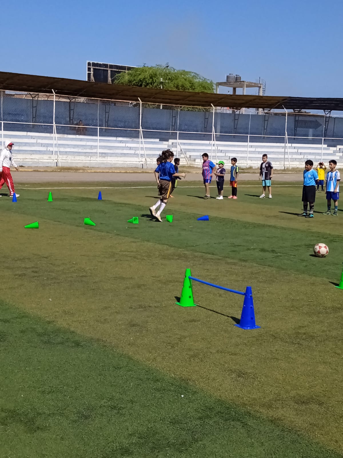 ACADEMIA IPD