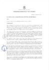Vista preliminar de documento Ordenanza Municipal