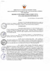 Vista preliminar de documento RDE Nº016-2023-MIDAGRI-PROVRAEM-DE.pdf