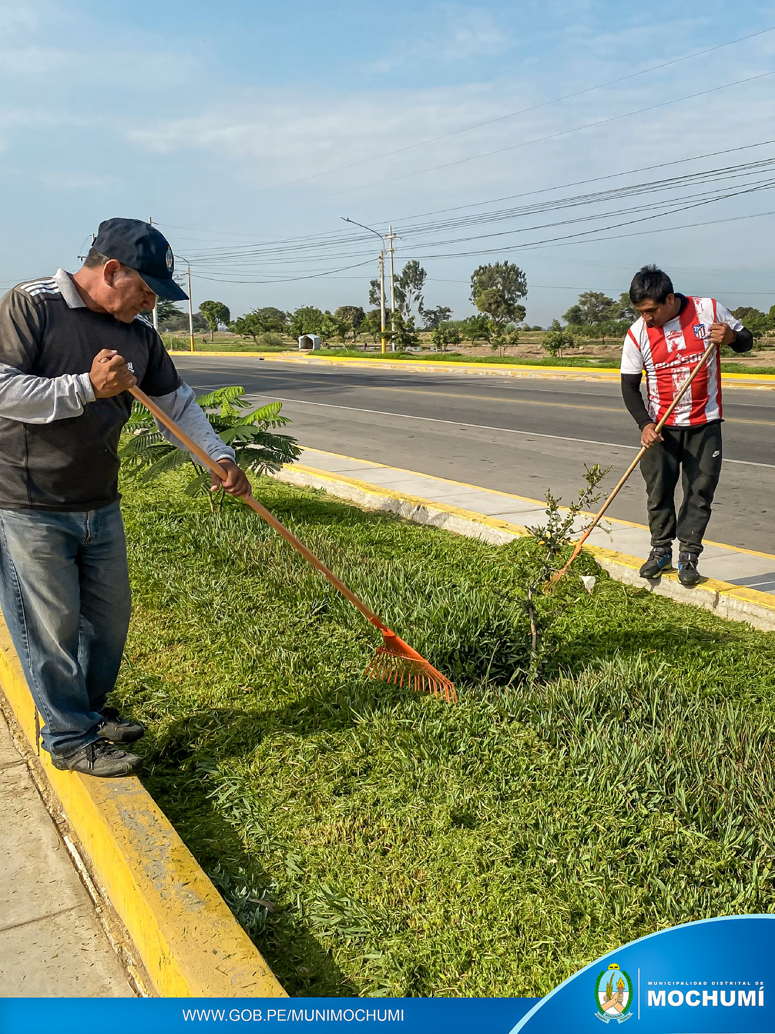 Imagen 4