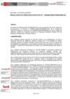 Vista preliminar de documento Resolución de Dirección Ejecutiva