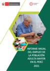 Vista preliminar de documento PAM 2021