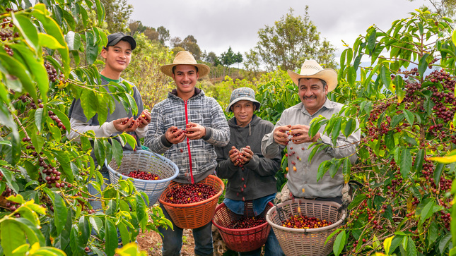 Balance 2022: El Indecopi entregó 1222 registros de marcas colectivas gratuitos
 a 436 asociaciones de productores, artesanos y mypes de todo el país 