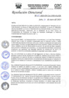 Vista preliminar de documento R.D.N°026-2023-HGJ-DE.pdf