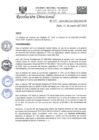 Vista preliminar de documento R.D.N°031-2023-HGJ-DE.pdf
