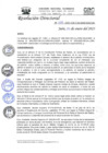 Vista preliminar de documento R.D.N°028-2023-HGJ-DE.pdf