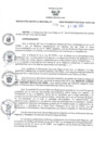 Vista preliminar de documento RES N°219-2023-GR