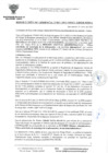 Vista preliminar de documento GDUR-N-007-2023-MDSA