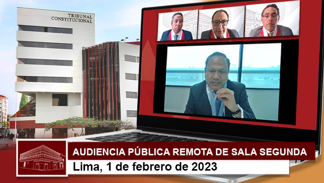 Audiencia pública remota de la Sala Segunda del TC.