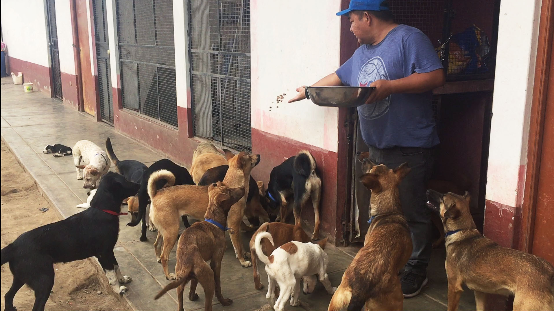 MPH entregó sacos de alimentos al Centro Canino Municipal