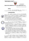 Vista preliminar de documento RG 041-2023