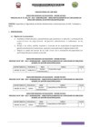 Vista preliminar de documento N° 07