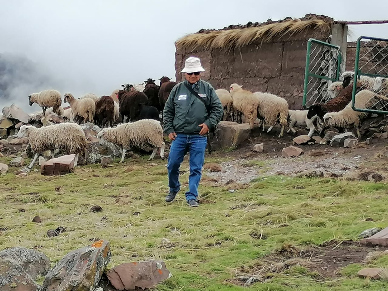 Cobertizos Ayacucho