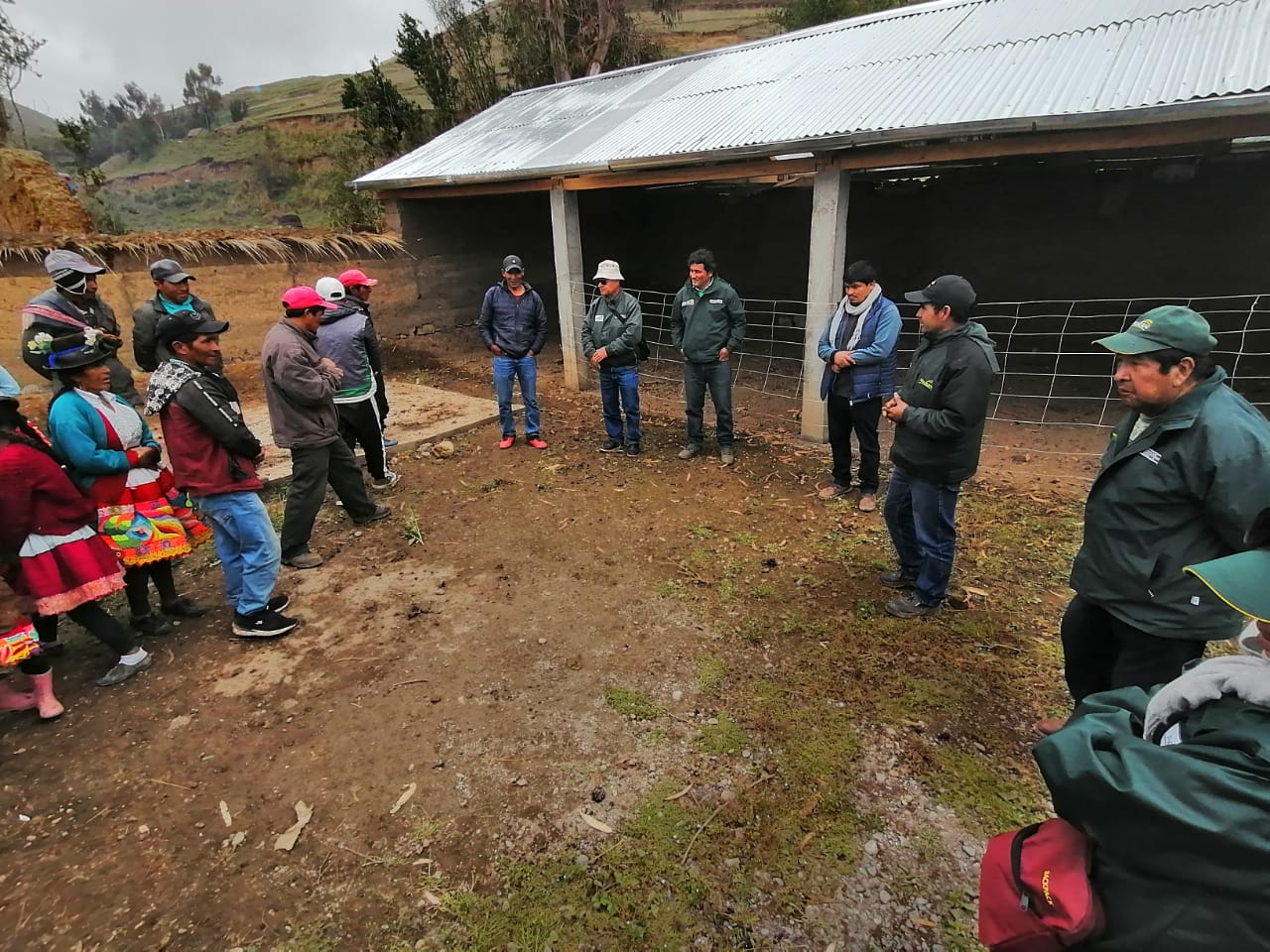 Cobertizos Ayacucho