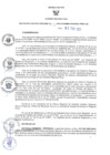 Vista preliminar de documento RER 223 
