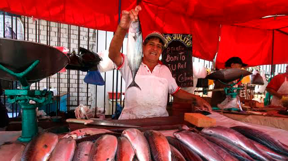 Cuota de pesca de jurel y caballa 2023