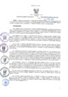 Vista preliminar de documento RESOL