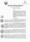 Vista preliminar de documento RER 044