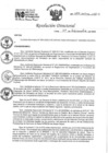 Vista preliminar de documento RD 277-2022-INO-D