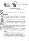 Vista preliminar de documento RD 273-2022-INO-D