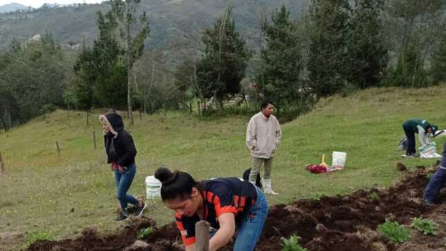 Imagen INIA