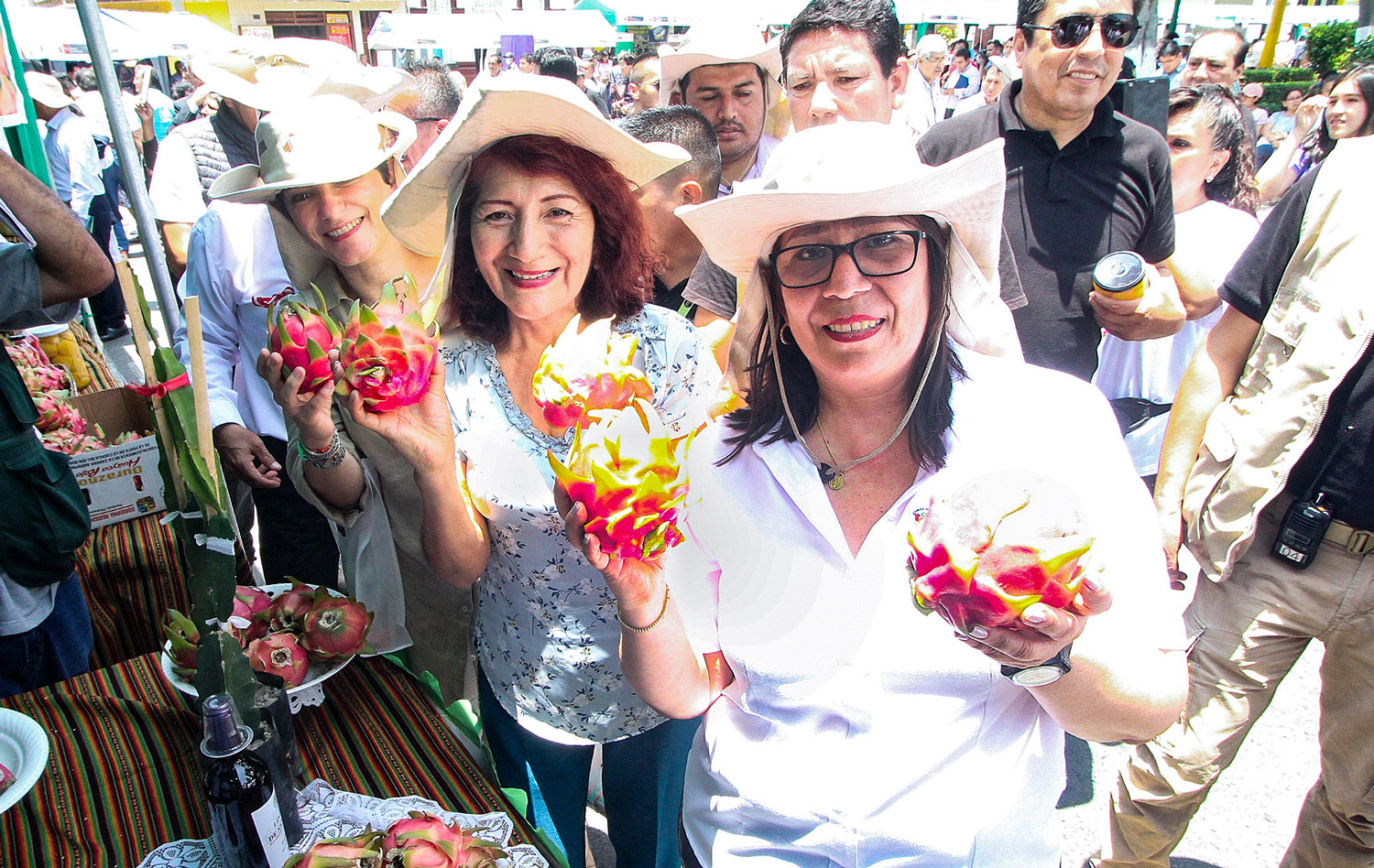 Funcionamiento de plataforma “Productor Digital” permite comprarle a agricultores sin intermediarios