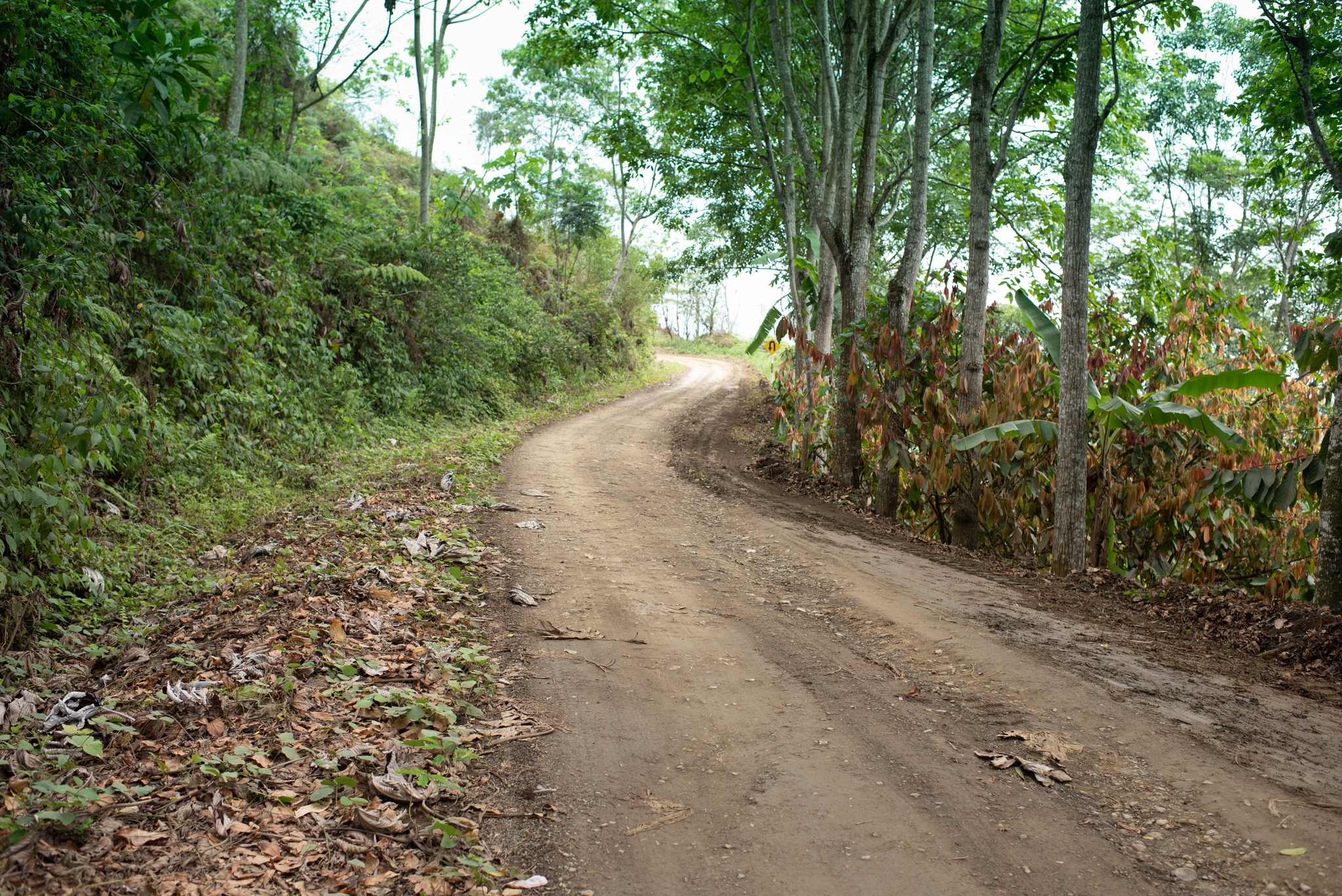 El alcalde y los regidores de la Municipalidad Distrital de Pichari ealizaron recorrido del trabajo de mantenimiento que se viene ejecutando en las carreteras