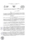Vista preliminar de documento RESOLUCION DIRECTORAL REGIONAL  N 0199-2023.pdf