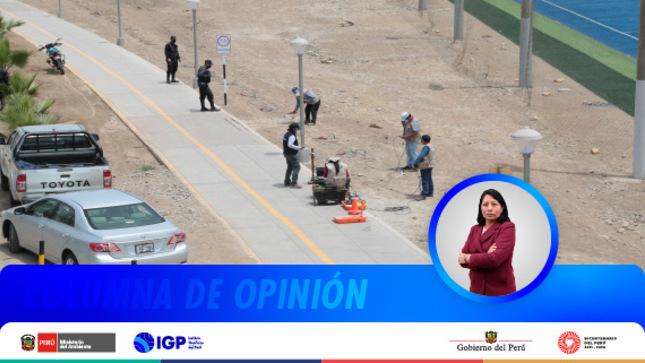 Columna de opinión 
