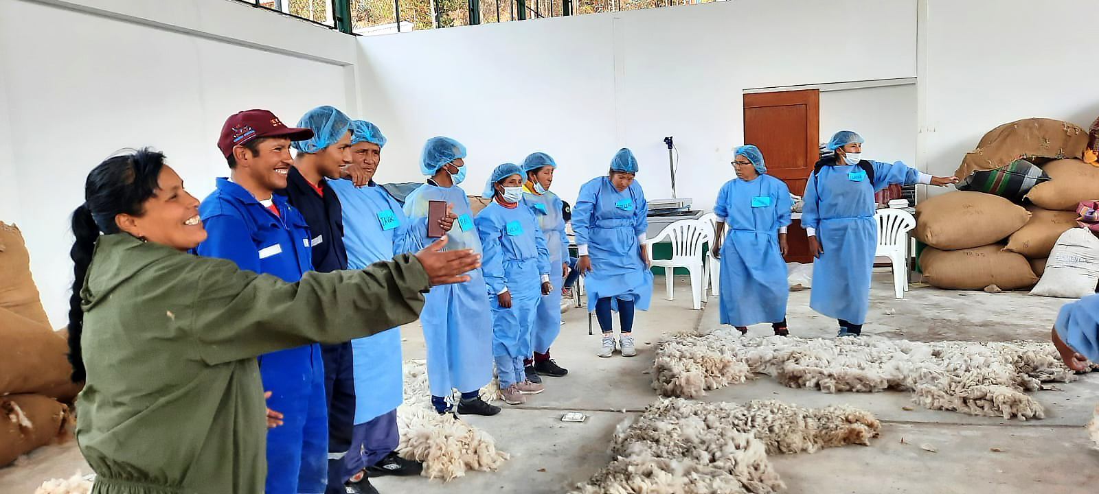 Agro Rural promueve comercialización de fibra de alpaca
