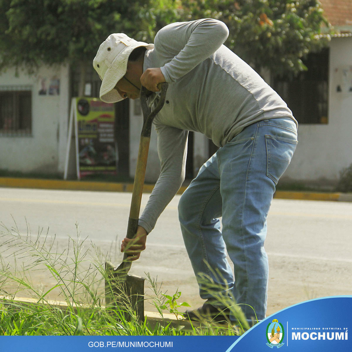 Imagen 5