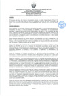 Vista preliminar de documento VERSIÓN 2.0