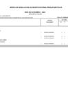 Vista preliminar de documento ANEXO RGG 01-2023 - DICIEMBRE[F][R].pdf