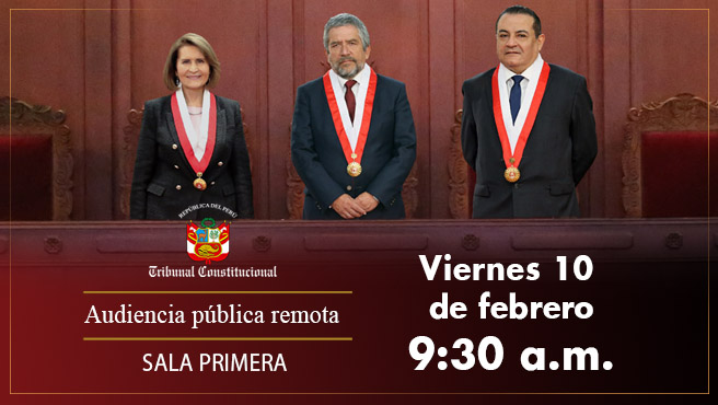 Sala Primera del Tribunal Constitucional realizará audiencia pública remota el viernes 10 de febrero.