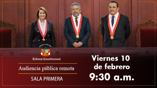 Sala Primera del Tribunal Constitucional realizará audiencia pública remota el viernes 10 de febrero.