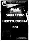 Vista preliminar de documento  POI 2010