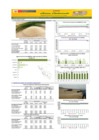 Vista preliminar de documento Boletín de abastecimiento y precio del ARROZ - 03/02/23