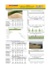 Vista preliminar de documento Boletín de abastecimiento y precio del ARROZ - 02/02/23