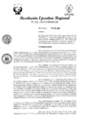 Vista preliminar de documento RER 105