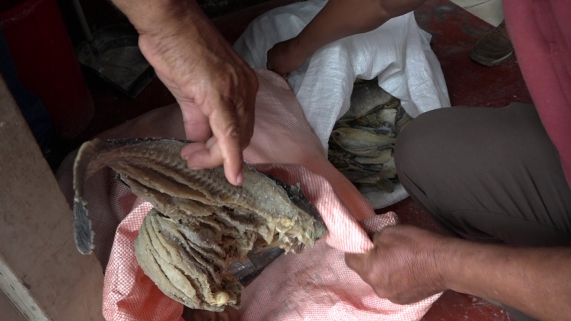 PESCADO