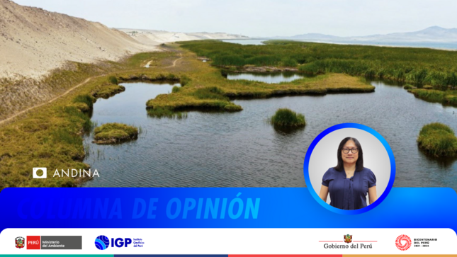 Columna de Opinión | Gestión ambiental en humedales costeros de Pisco