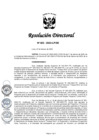 Vista preliminar de documento RD 025-2023-LP-DE.pdf