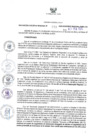 Vista preliminar de documento GR-233-2023