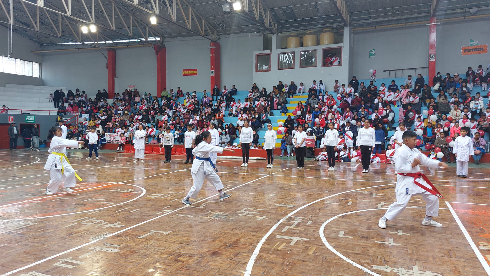 La Academia IPD 2023 Puno