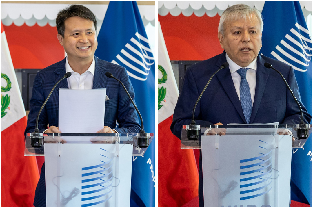 Director General de la OMPI reafirma apoyo y compromiso con el Perú y la plena implementación de proyectos conjuntos