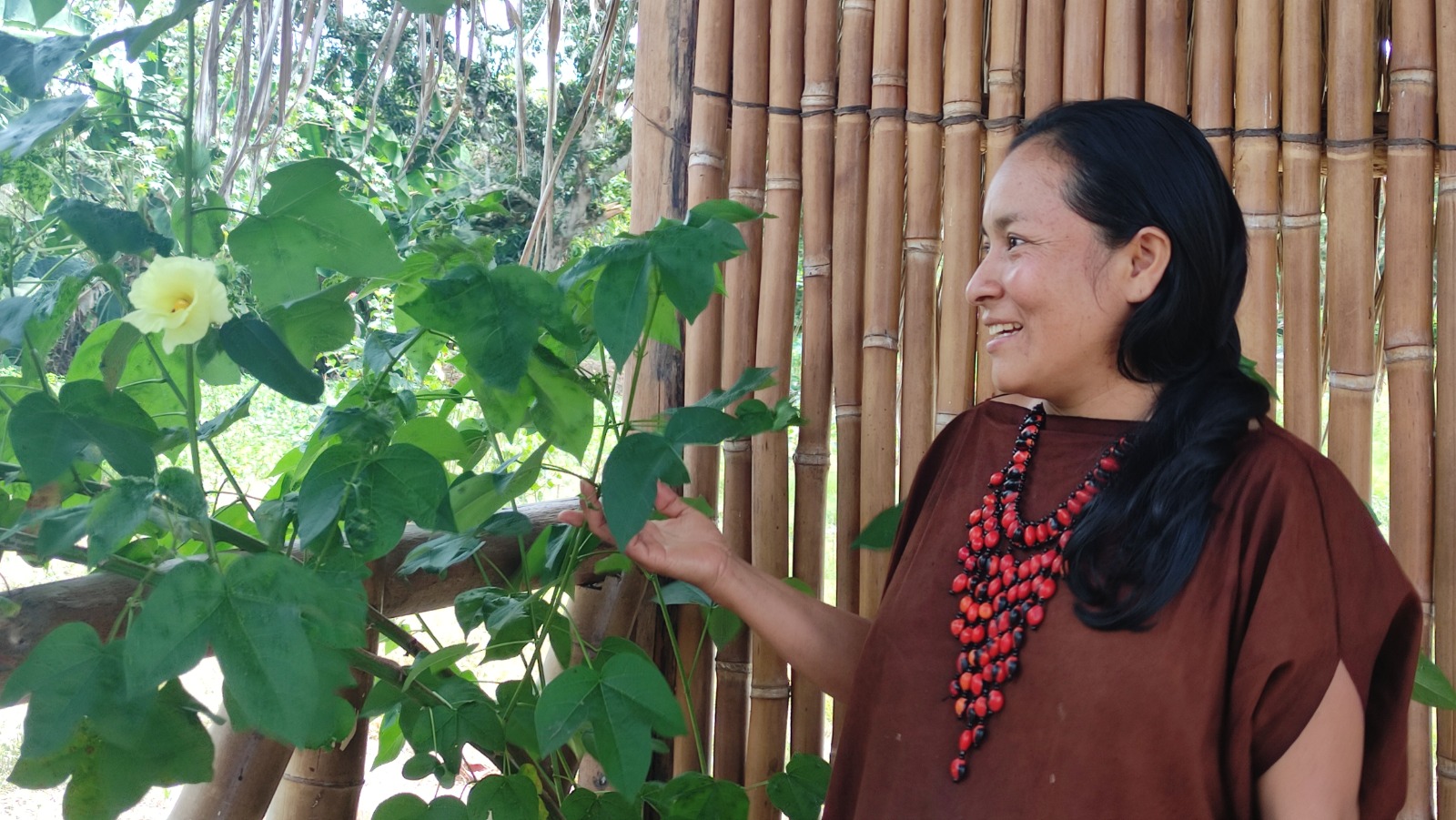 Devida y USAID