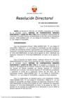 Vista preliminar de documento RD 1234-2022-MINEM-DGM.pdf
