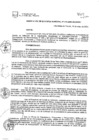 Vista preliminar de documento RESOLUCION_DE_GERENCIA_MUNICIPAL-N270-2022.pdf