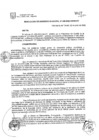 Vista preliminar de documento RESOLUCION_DE_GERENCIA_MUNICIPAL-N306-2022.pdf