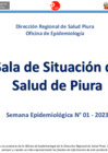 Vista preliminar de documento Sala Situacional Semanal 001-2023